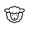 Wool